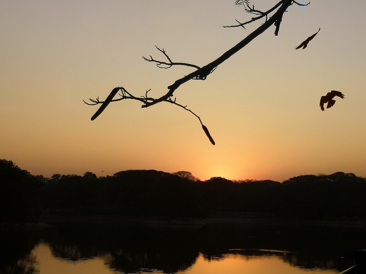 beautiful sunset