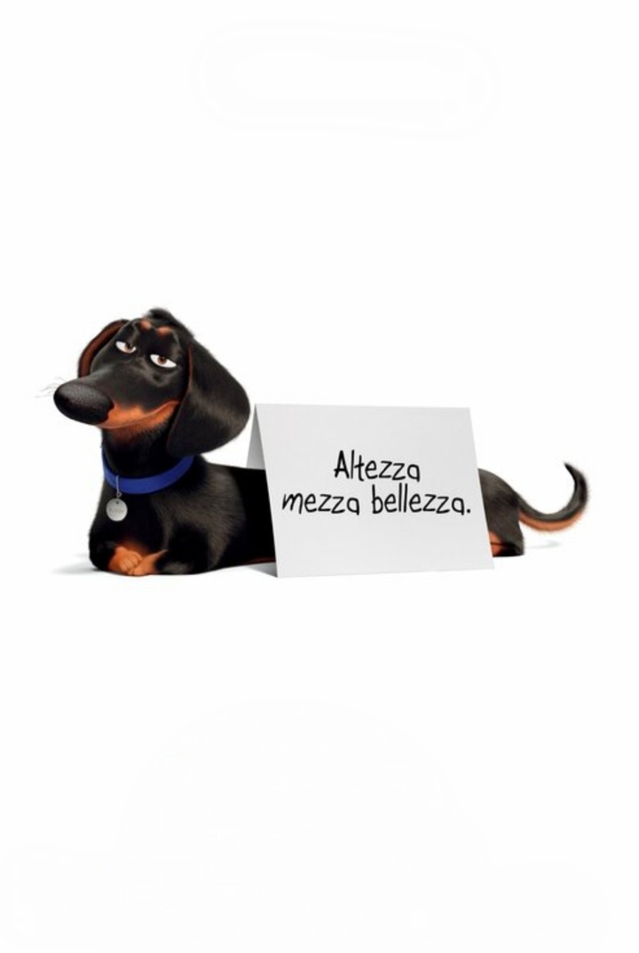 buddy- The Secret Life of Pets
