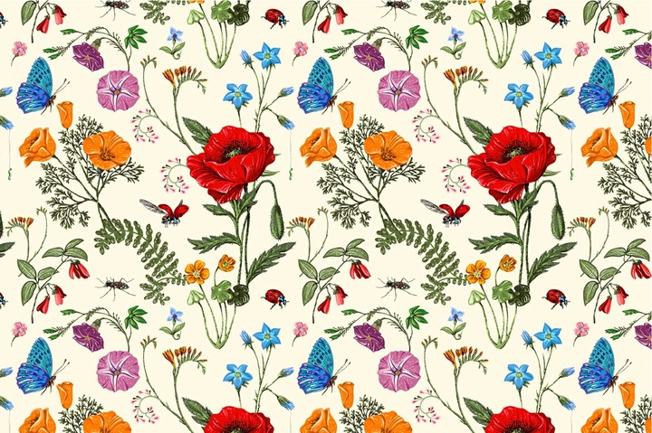 blossom flowers
