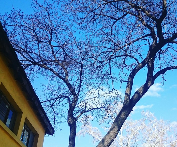 spring