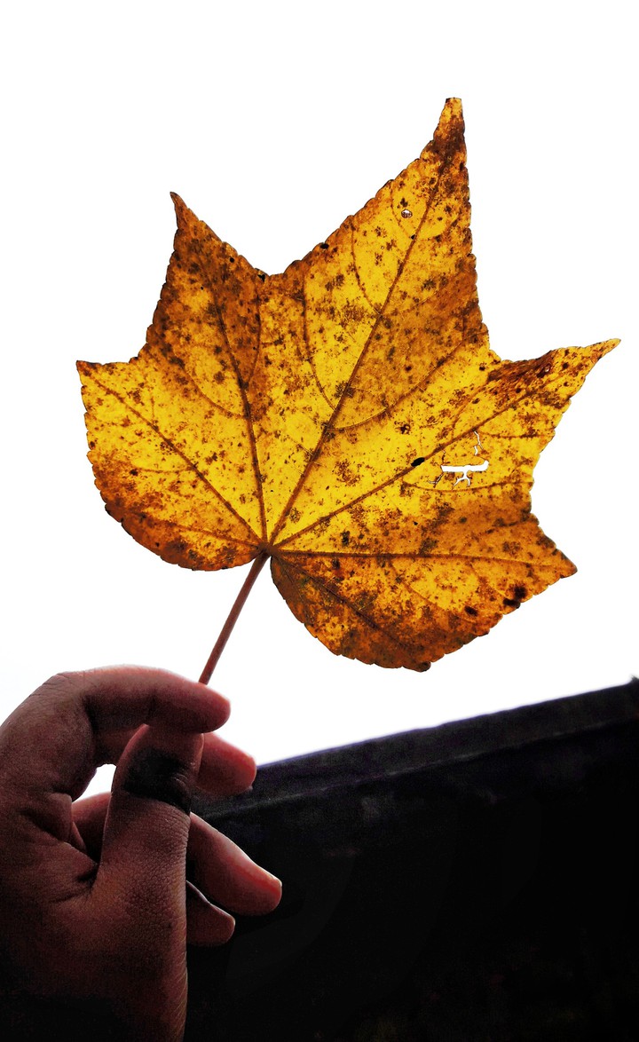 Autumn has come,,,,