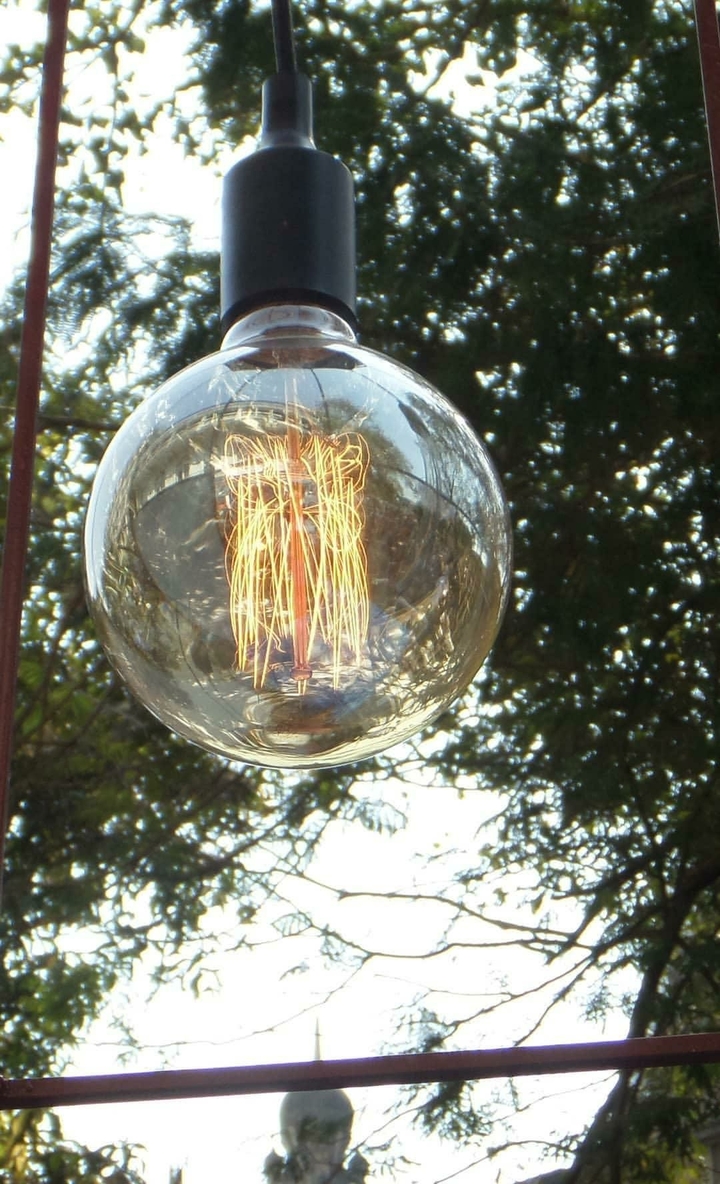 Bulb