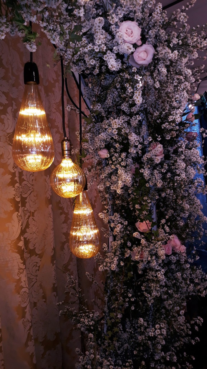 Luz e flores.