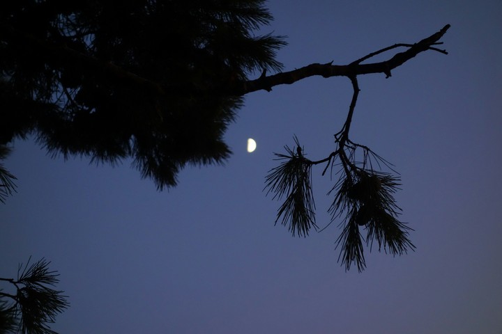 Lovely night