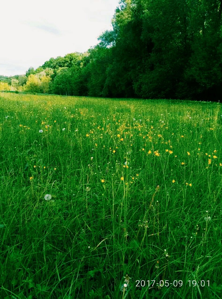 summer