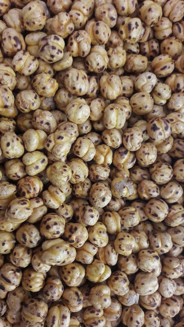 Roasted chickpea / Leblebi