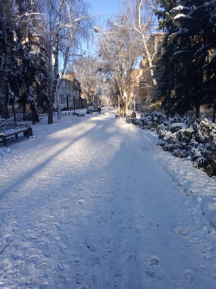 winter