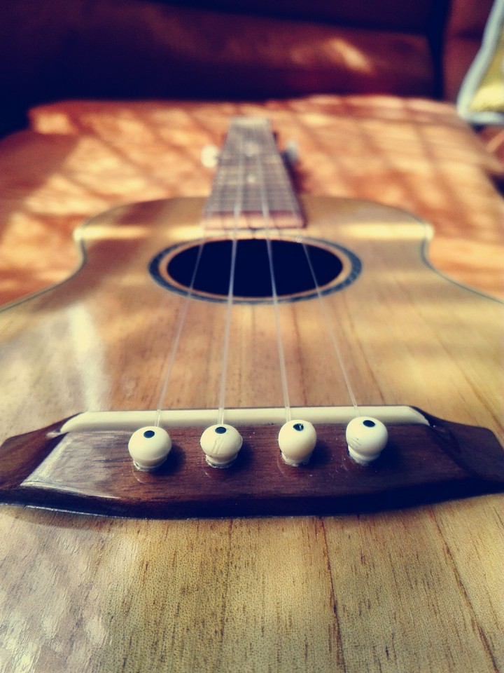 Ukulele
