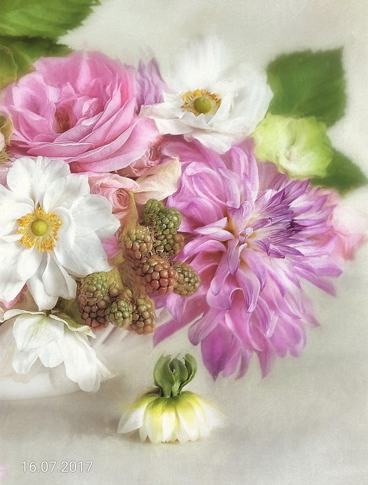 Bloom & Blackberries