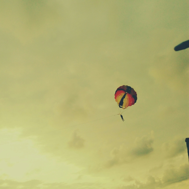 fly