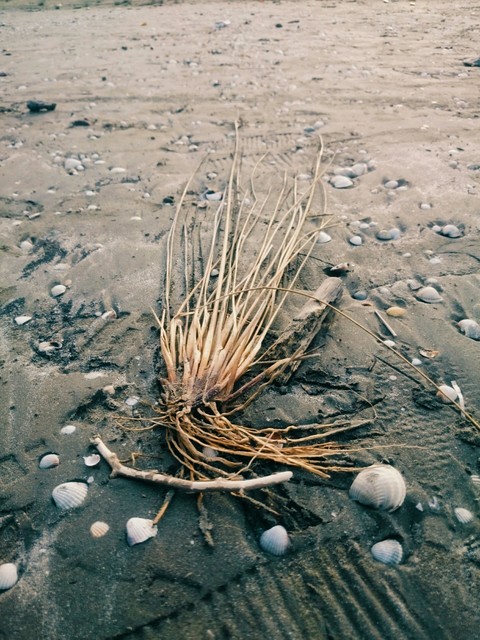sea