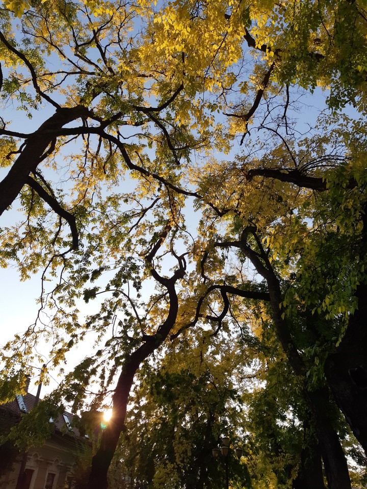 autumn