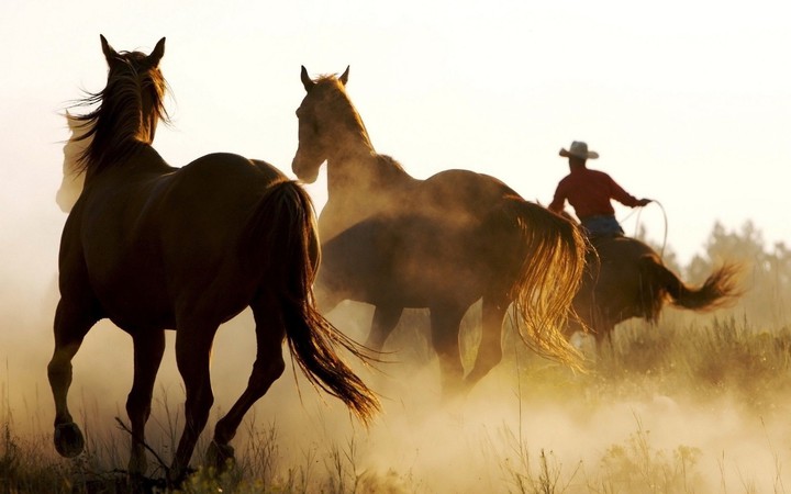 western