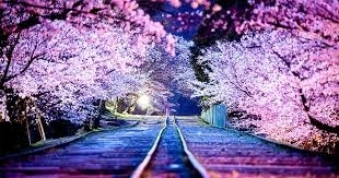 spring