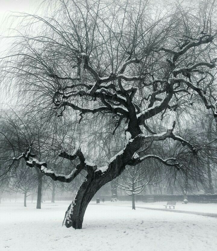 cold