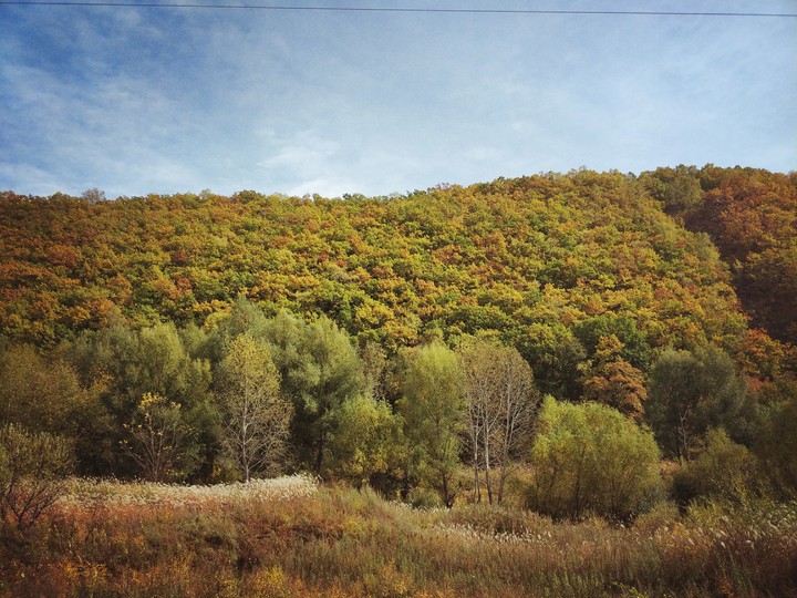 Primorian Autumn