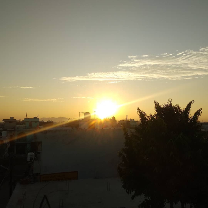 Morning Sunshine