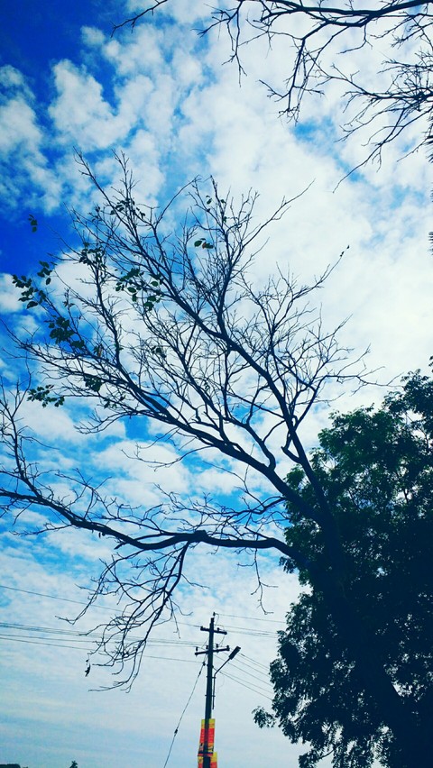 Fall