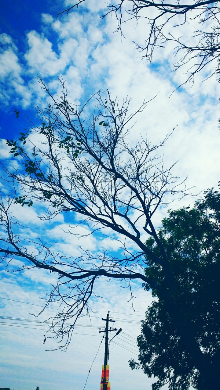 Fall