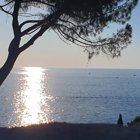 Rovinj Croatia