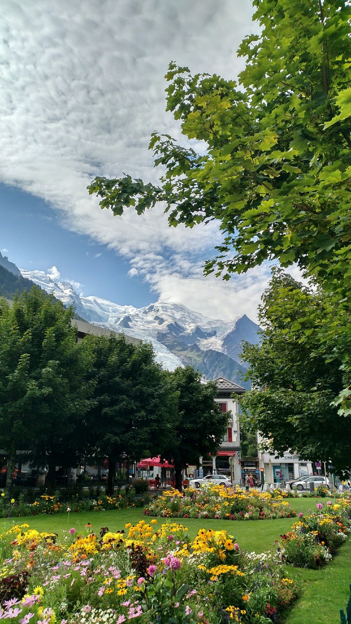Chamonix garden and the Montblanc