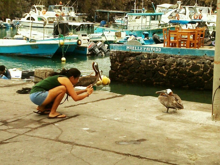 Galápagos