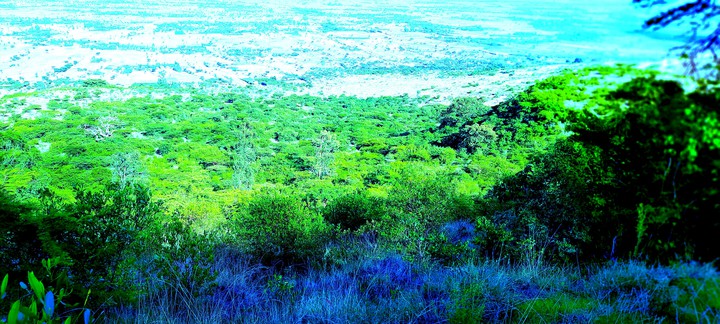 Nature