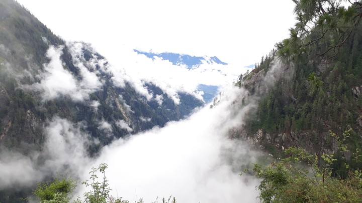 malana