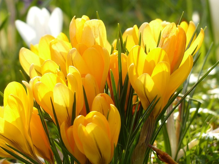 for you