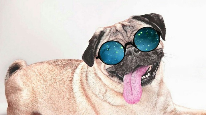 Kosmo