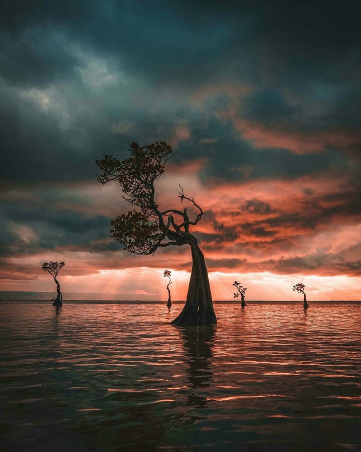 Walakiri beach, east sumba