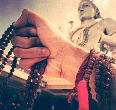 shiv