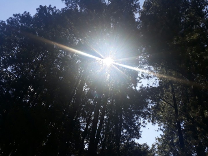 Sun shine