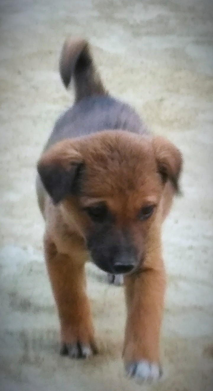cute  ?