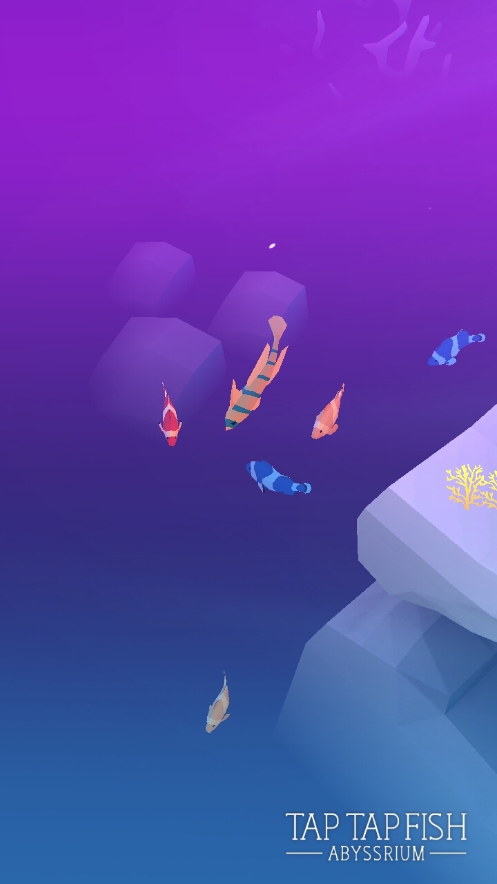 fish are adorable (sometimes)