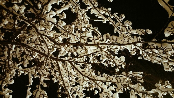 Winter