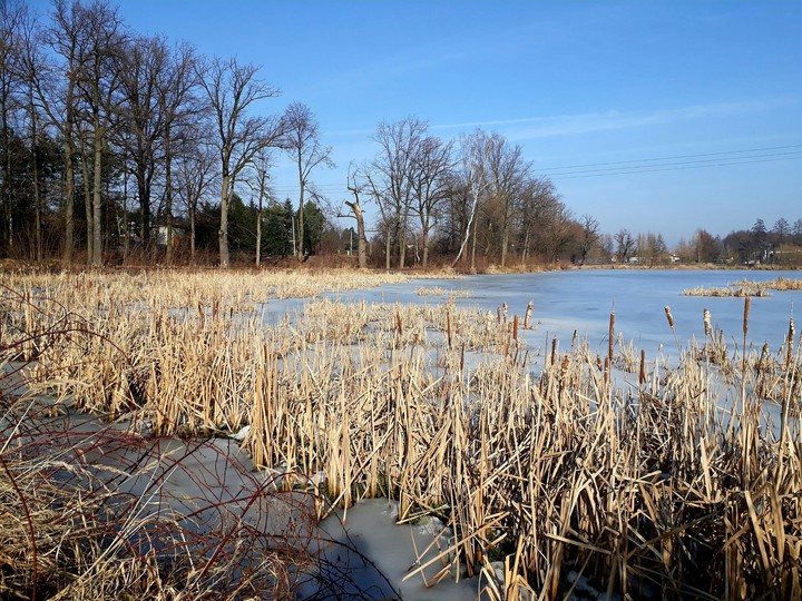 The end of winter