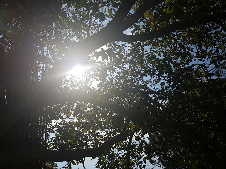 Raggio di sole