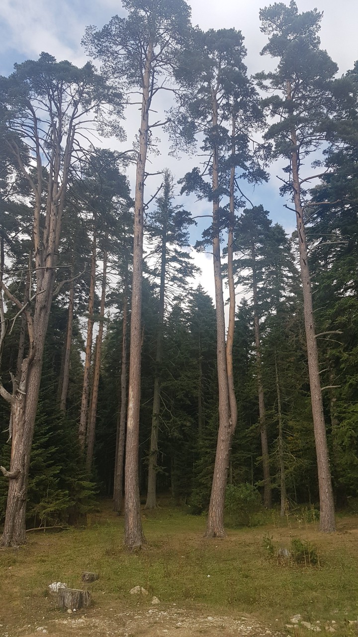 abant gölü tabiat parkı