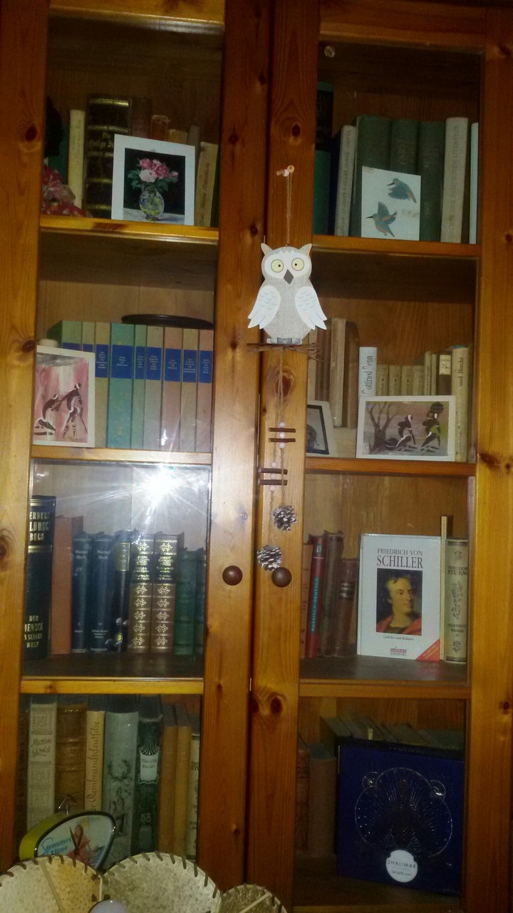 Büchervitrine
