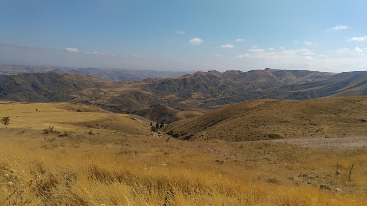 ماوی ۲