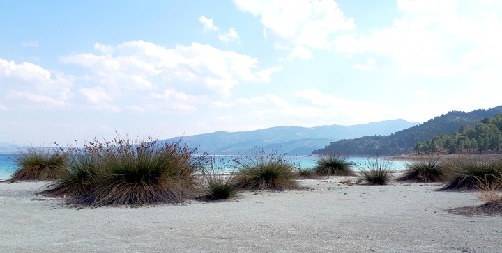 lake salda
