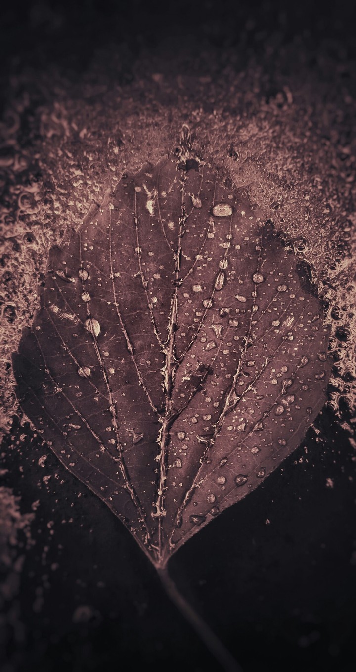 after rains