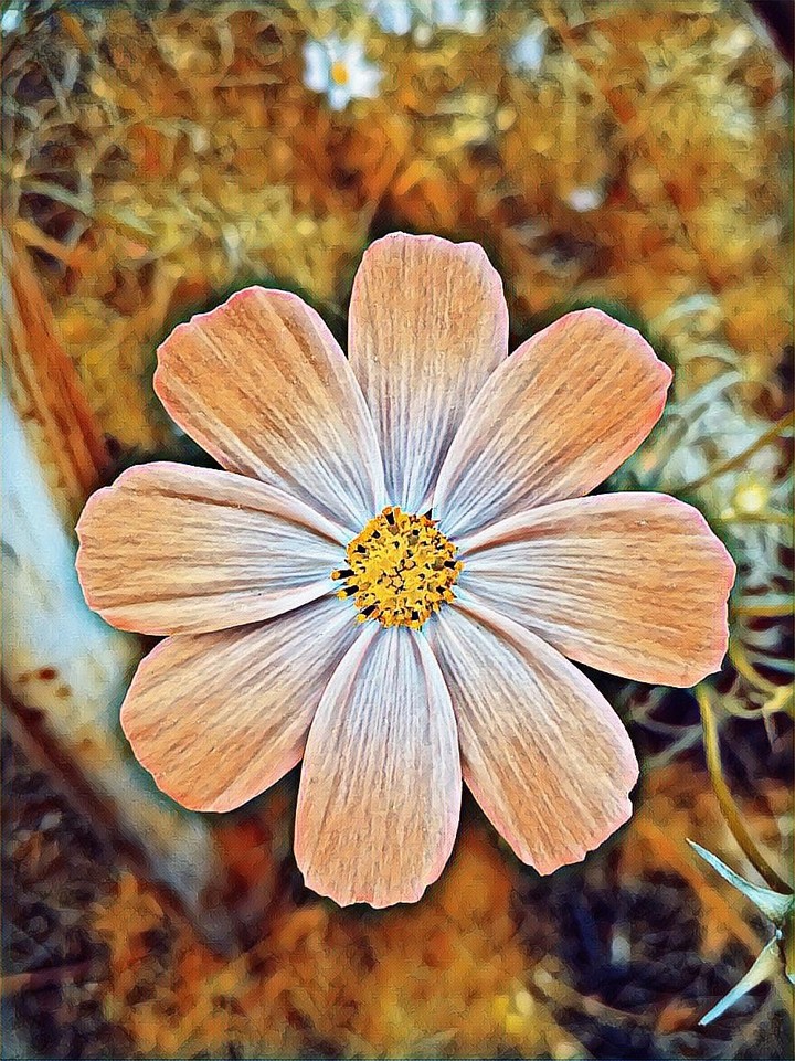 Красота / Beautiful