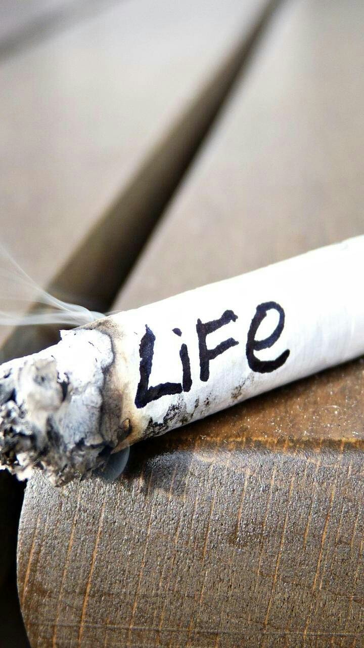 Life