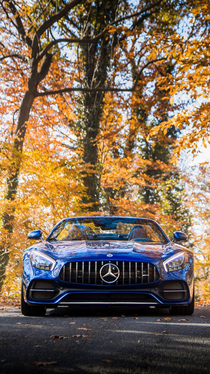 Mercedes benz
