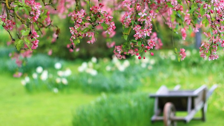 Spring...
