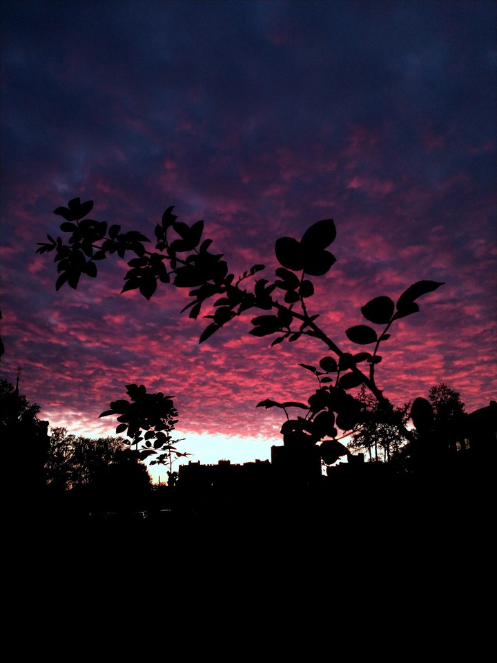 sunset•
