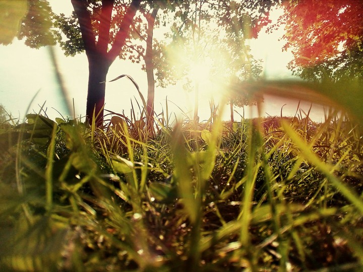 morning