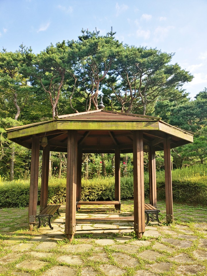 숲속의 빈터